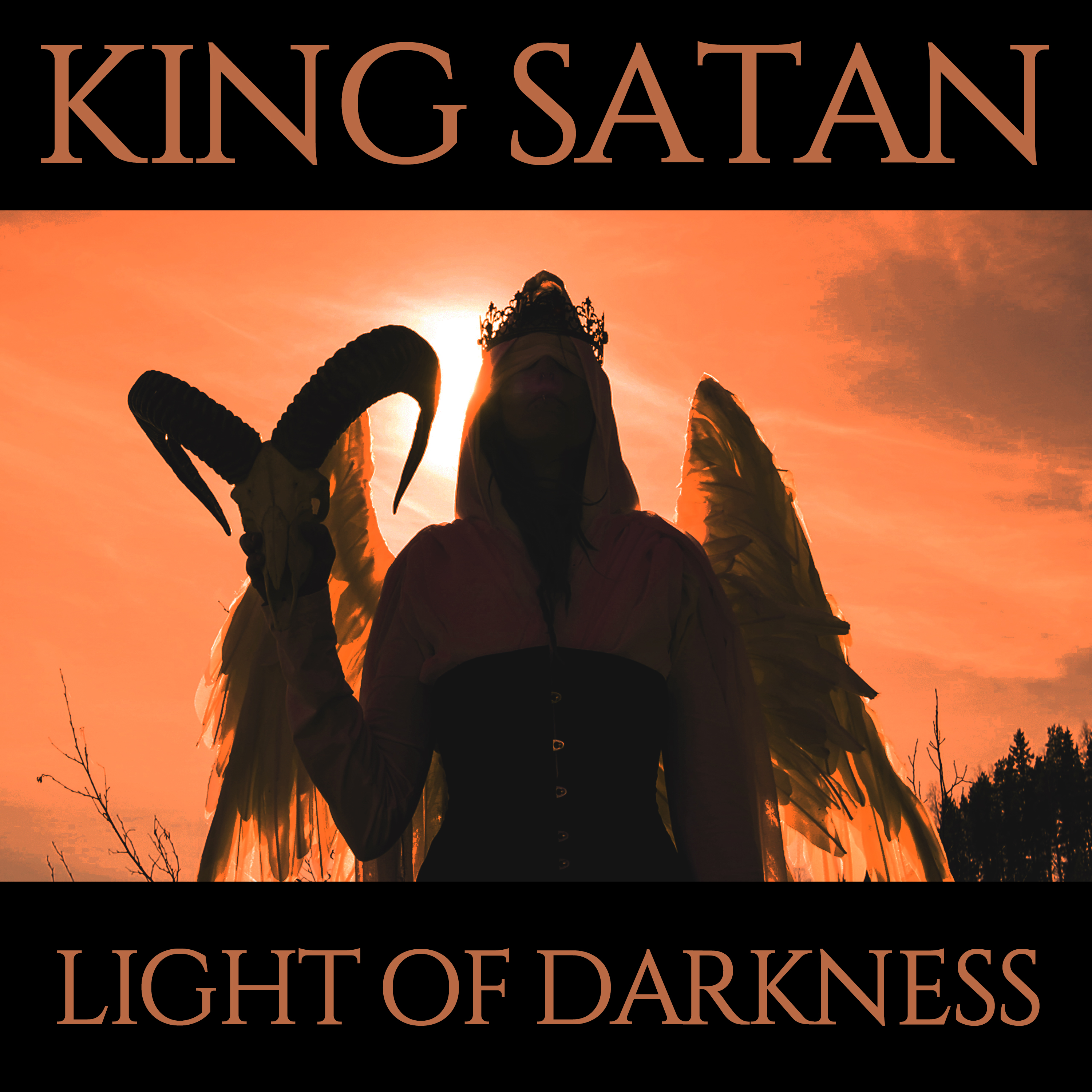 Light of Darkness (2026)
